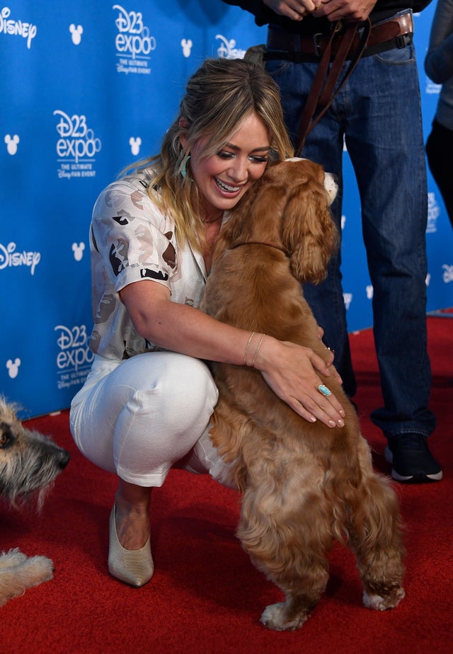 hilary duff at d23