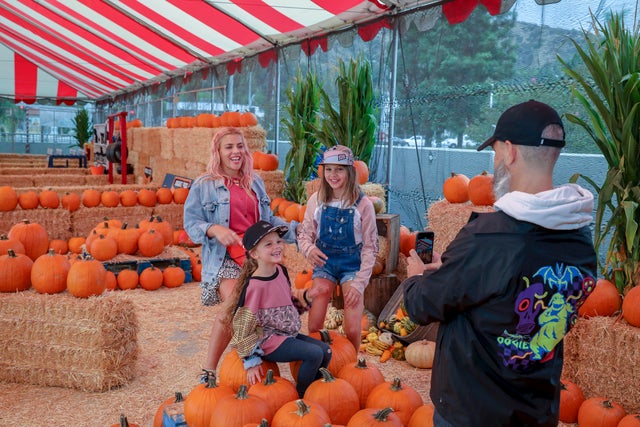 busy philiips with kids at pumpkin patch