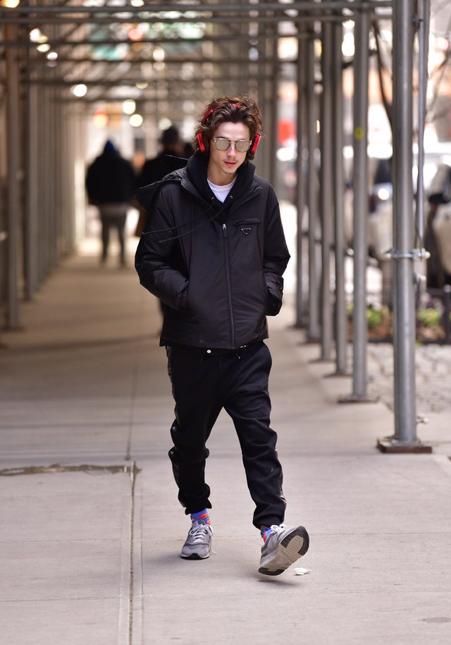 Timothée Chalamet in nyc