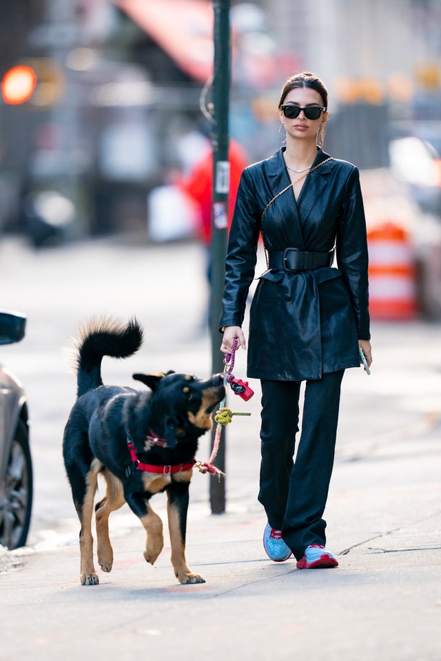 Emily Ratajkowski in tribeca with dog