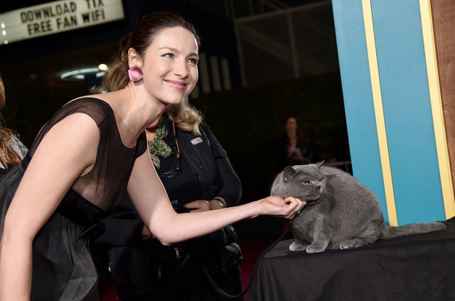 Caitriona Balfe and boris the cat