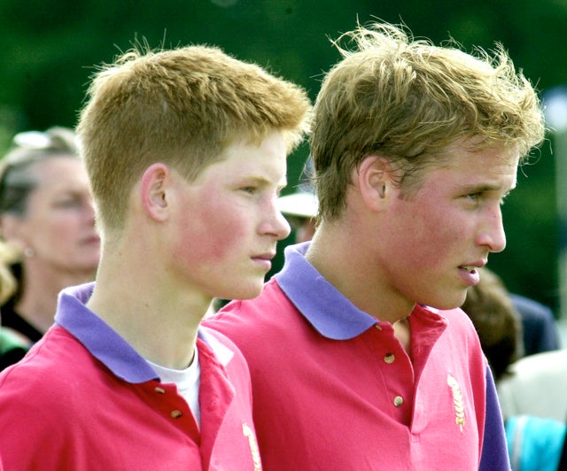 prince harry and prince william polo match 2001