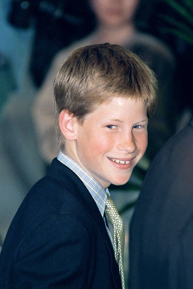 prince harry age 14