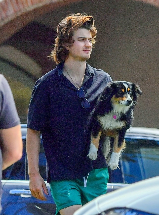 joe keery carries his dog