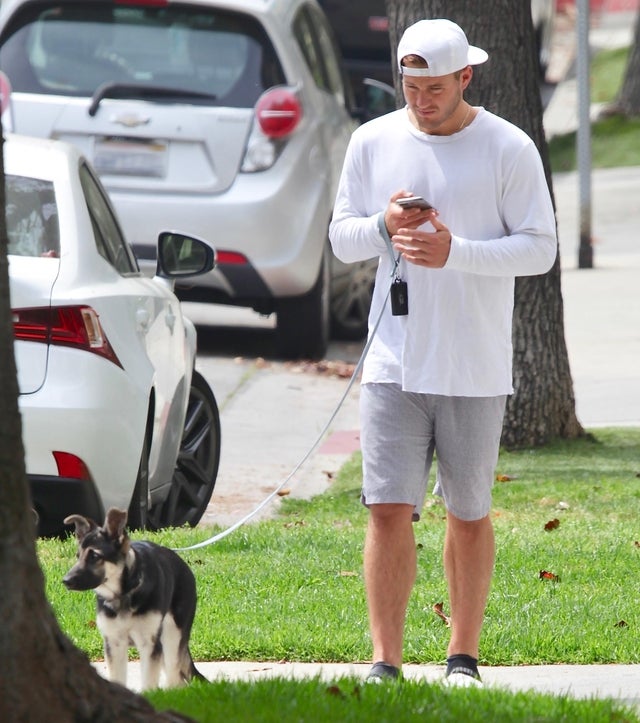 Colton Underwood walks his foster dog