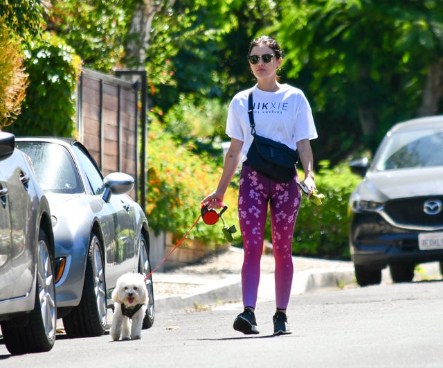 lucy hale walks elvis on 6/7