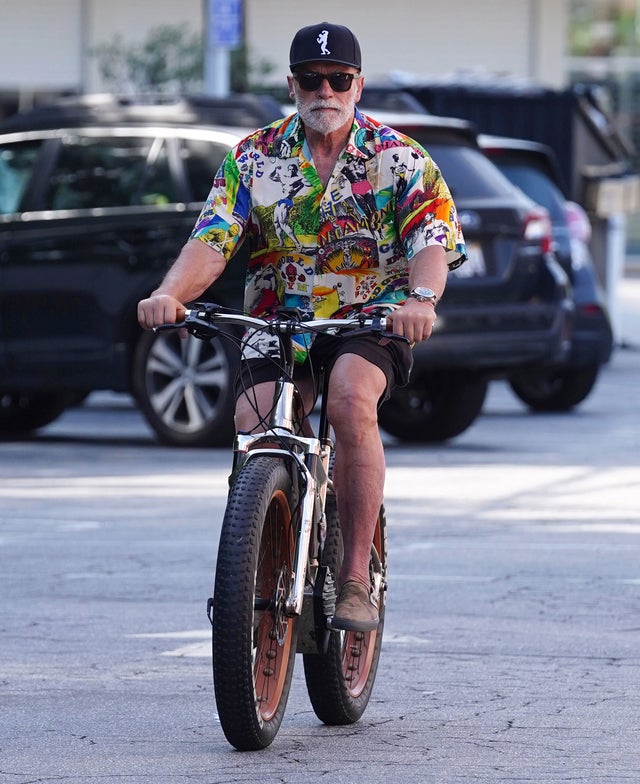 Arnold Schwarzenegger is seen on June 15 in LA