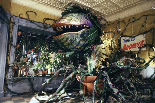 Little Shop of Horrors