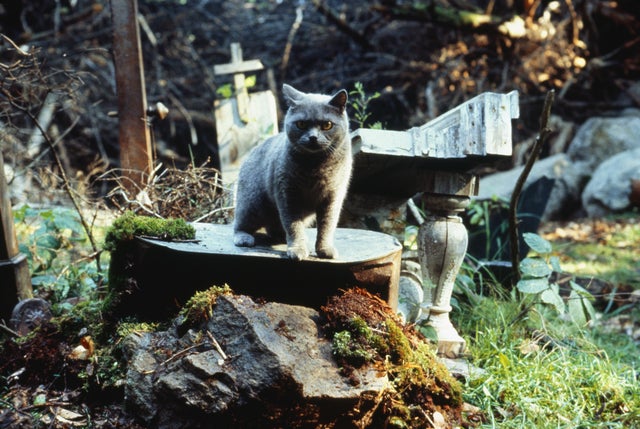 Pet Sematary