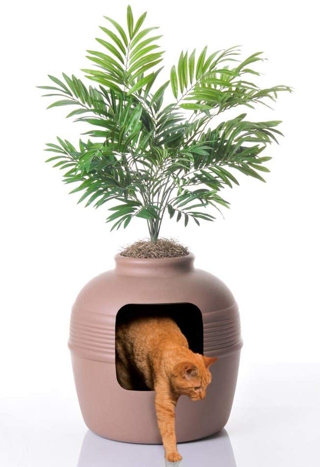 Hidden Litter Litter Box