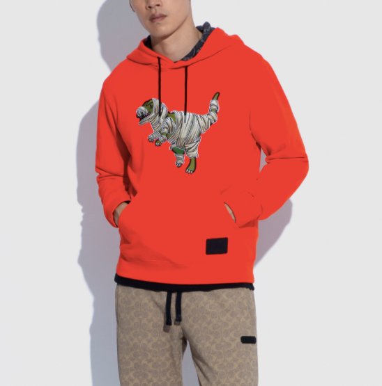 Hoodie In Organic Cotton With Mummified Rexy