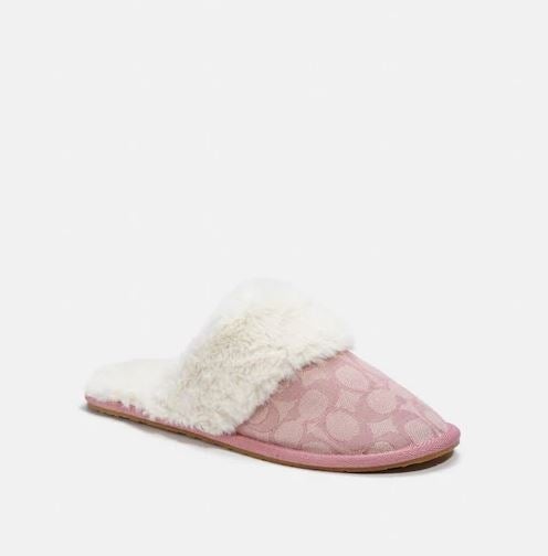 Ziva Slipper