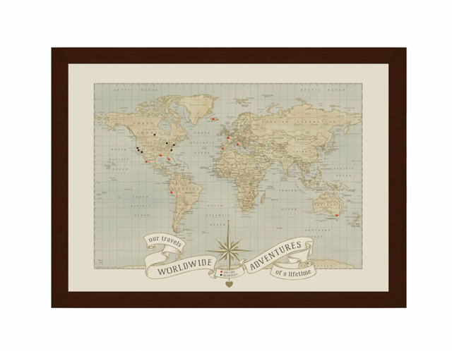 Custom World Push Pin Travel Map