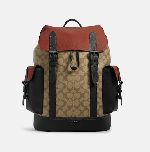 Hudson Backpack In Colorblock Signature Canvas