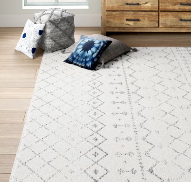 Giannini Geometric Area Rug in Gray