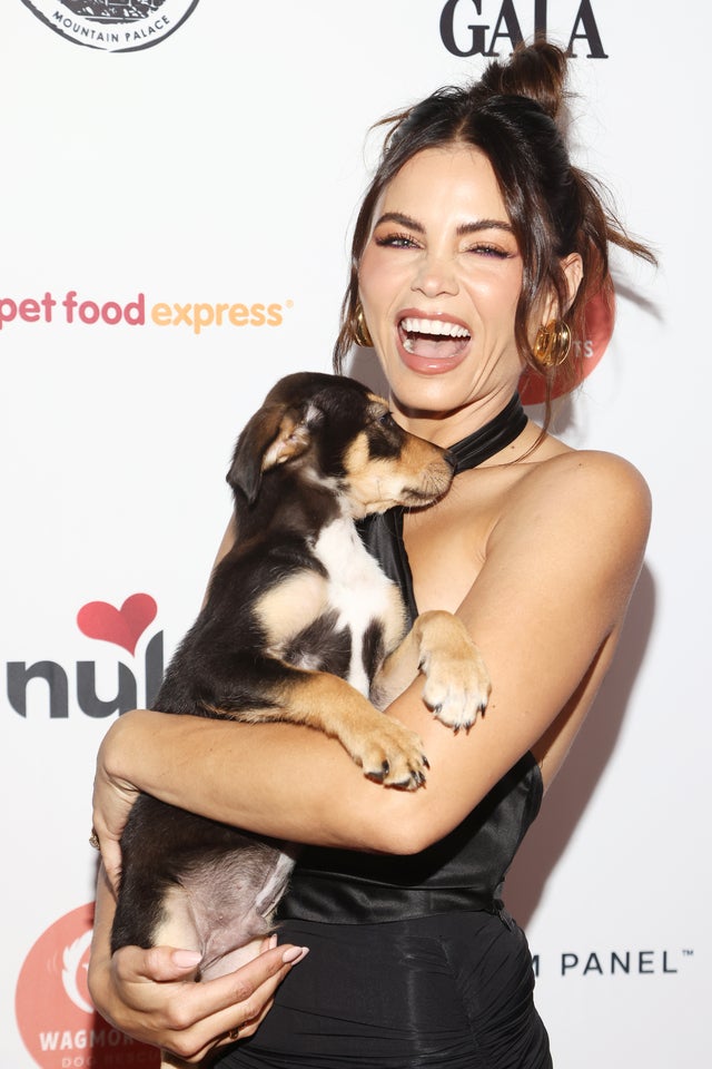 Cutest orders celebrity dogs