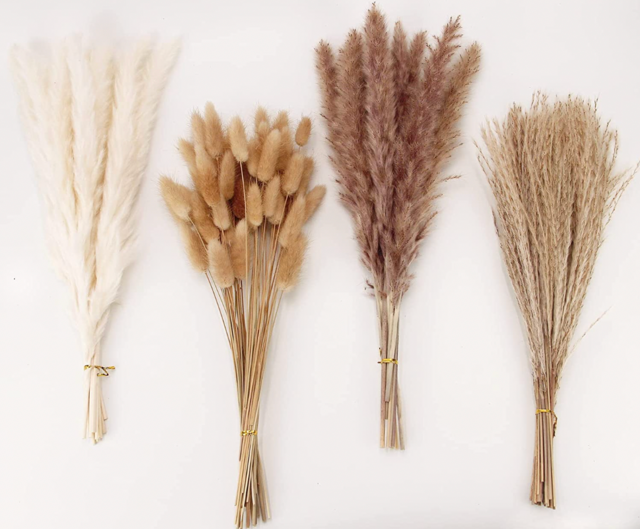 Anproor Dried Pampas Grass Decor