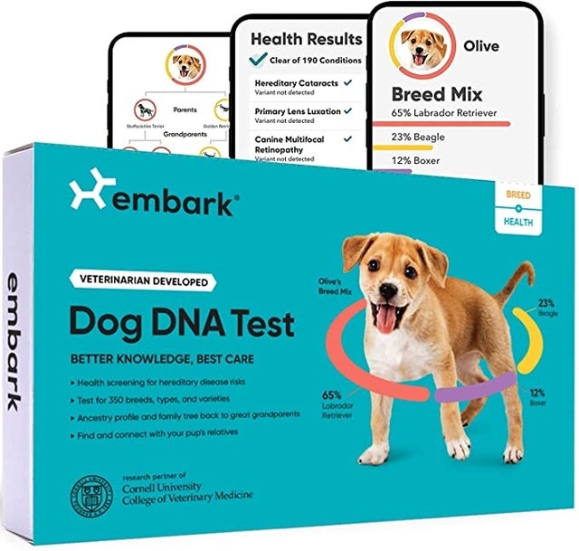 Embark Dog DNA Test Kit