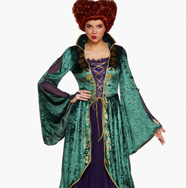 Adult Winifred Sanderson Hocus Pocus Costume