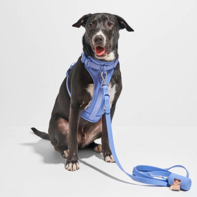 Wild One Harness Walk Kit