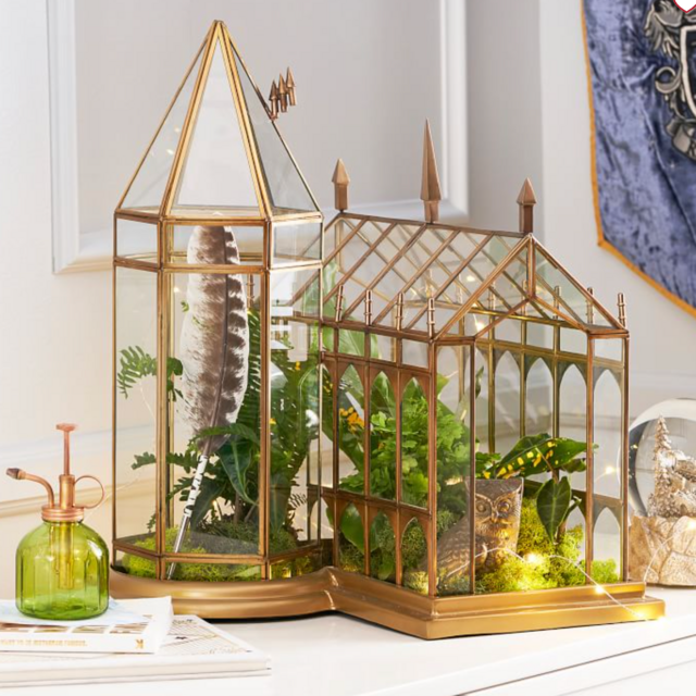 Pottery Barn Teen Great Hall Terrarium 