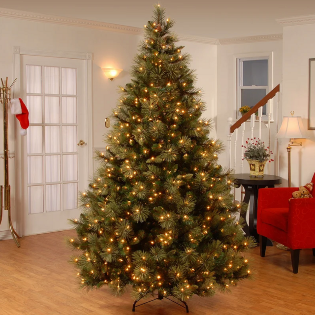 Carolina Lighted Artificial Pine Christmas Tree