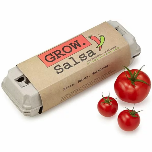 Salsa Grow Kit