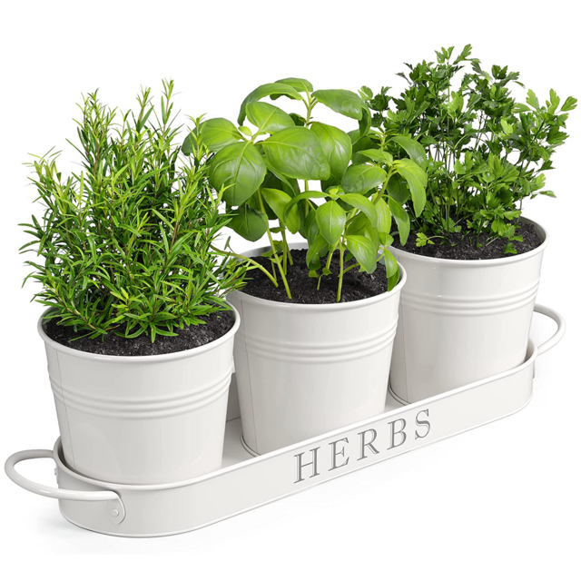 Barnyard Designs Farmhouse Herb Garden Planter