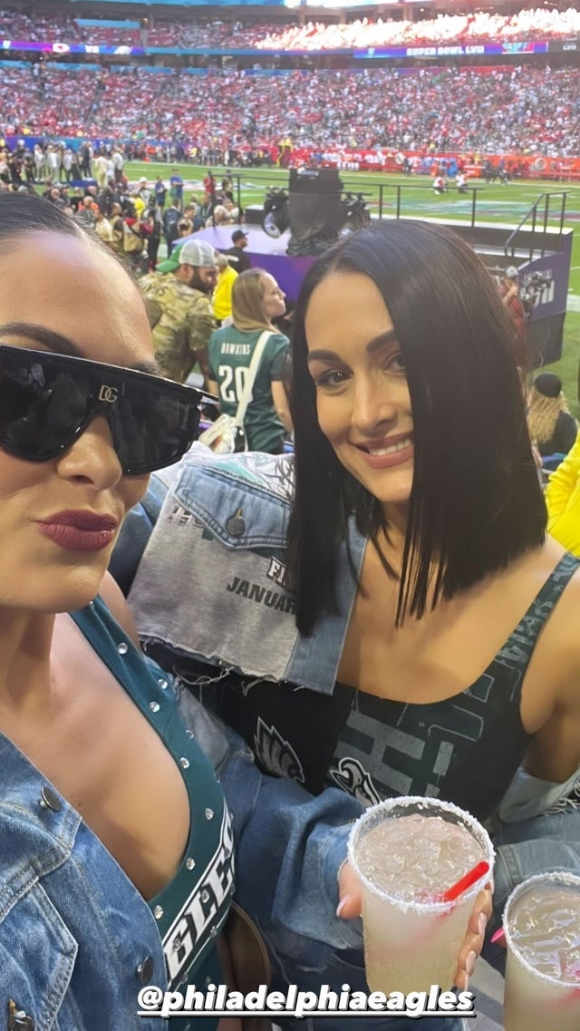 Brie Bella and Nikki Bella