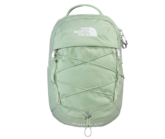 The North Face Borealis Mini Backpack