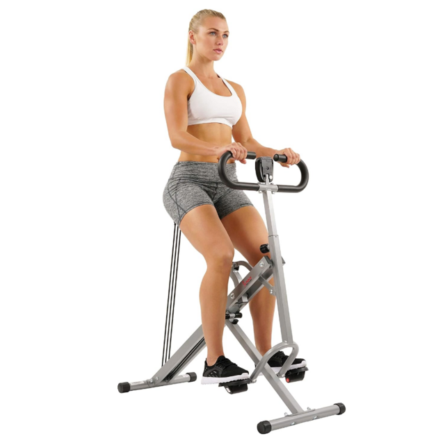 Sunny Health & Fitness Row-N-Ride Squat Assist Trainer