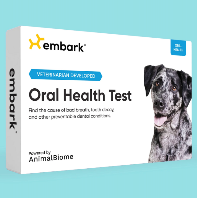 Oral Health Test