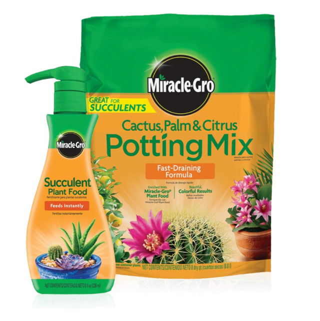 Miracle-Gro Cactus, Palm & Citrus Potting Mix