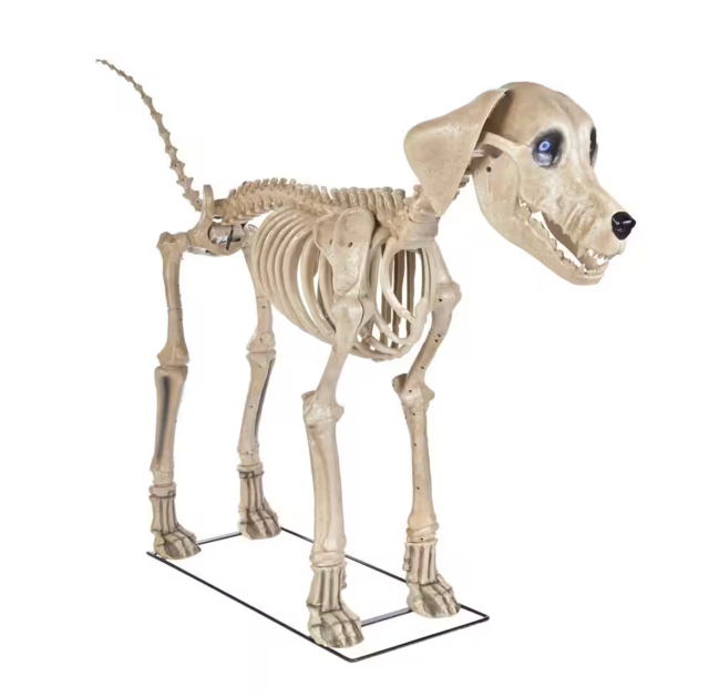 7-Foot Skelly’s Dog