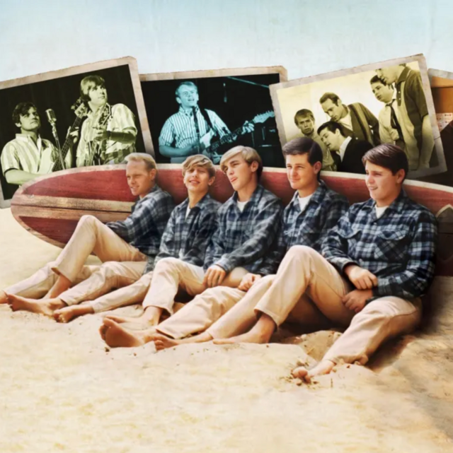 Watch 'The Beach Boys' on Disney+