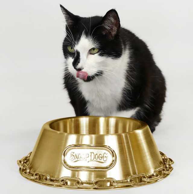 Snoop Doggie Doggs Off the Chain Deluxe Gold Pet Bowl