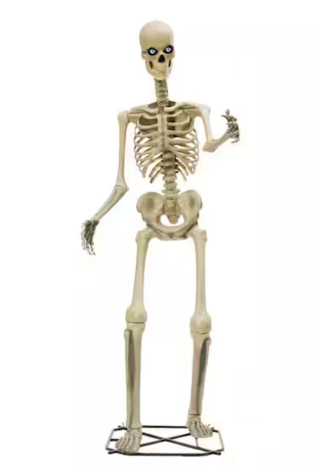 12-Foot Servo Skelly