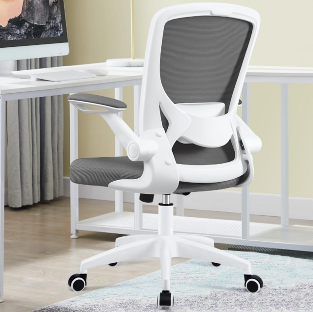 KERDOM Ergonomic Office Chair