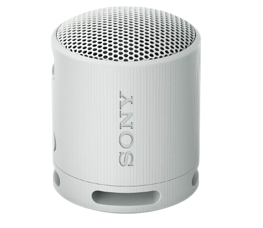 Sony SRS-XB100 Wireless Bluetooth Portable Speaker