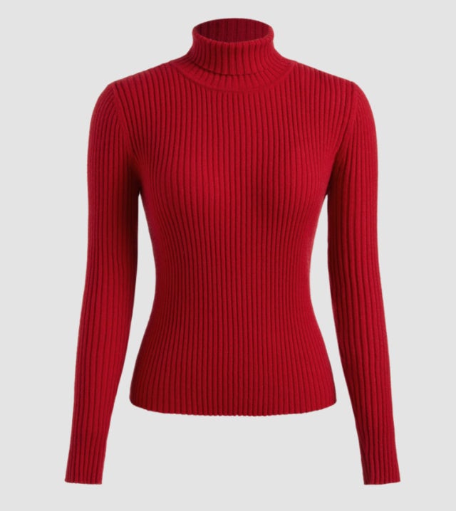 Cider High-Neck Solid Knitted Long Sleeve Top