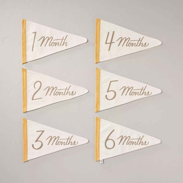 Newborn Milestone Pennants