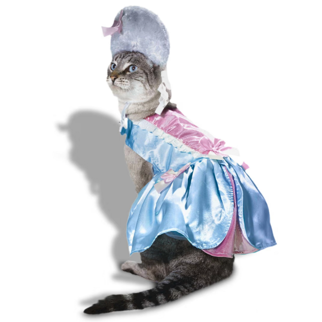 Bootique Fancy Multi-Color Costume for Cats