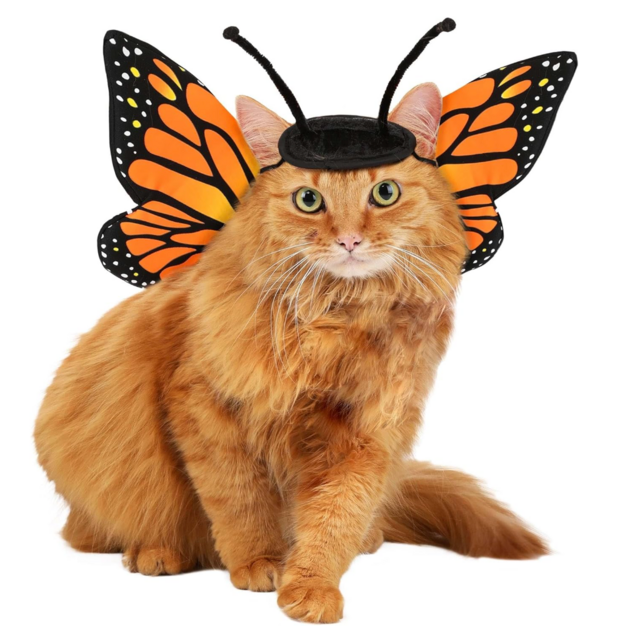 California Costume Collections Pet Monarch Costume