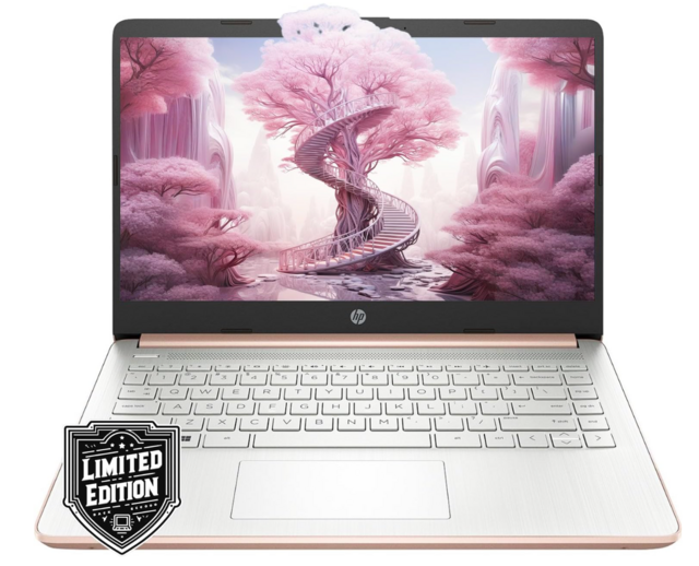 HP 14" HD Laptop