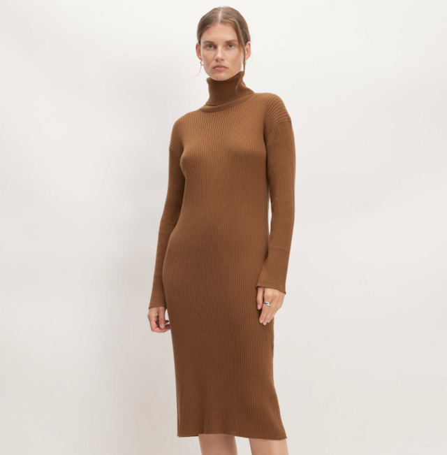 Everlane The Cotton-Merino Turtleneck Dress