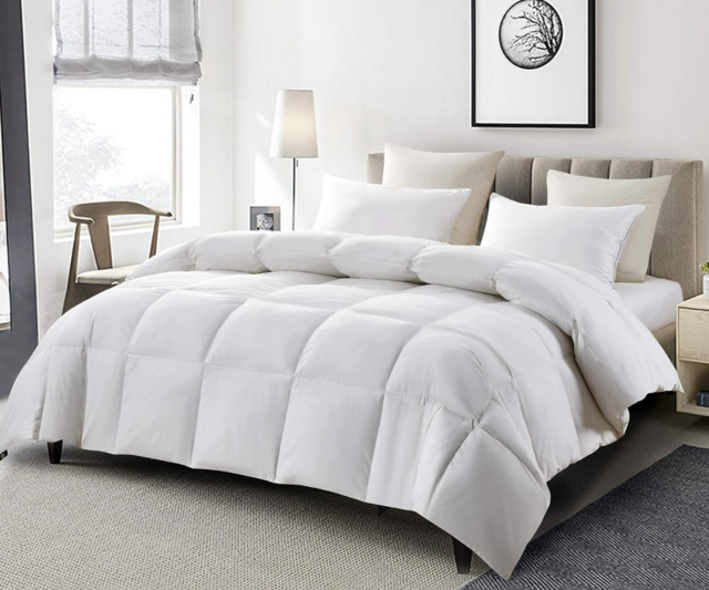 Serta Goose Feather Down Fiber Cotton Comforter