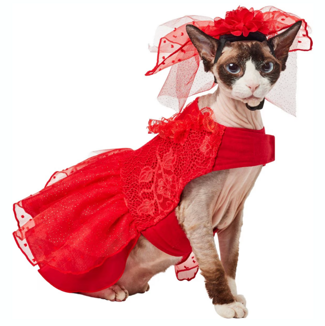 Frisco Red Ruffle Dog & Cat Dress + Headpiece