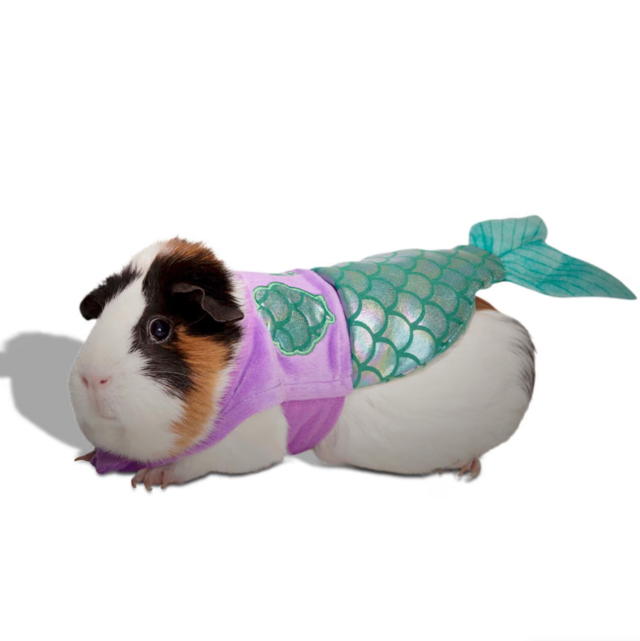 Bootique Mermaid Costume for Small Animals