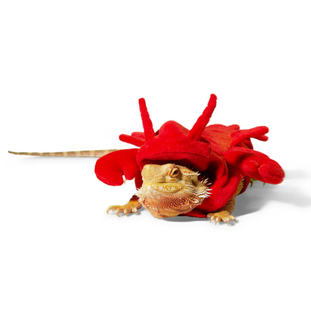 Bootique Lobster Lizard Costume