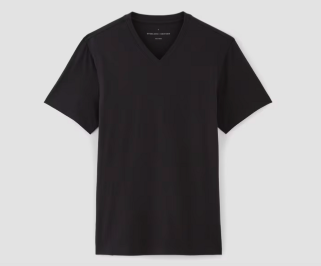 Everlane The Essential Organic V-Neck Tee